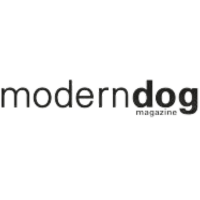 Modern dog