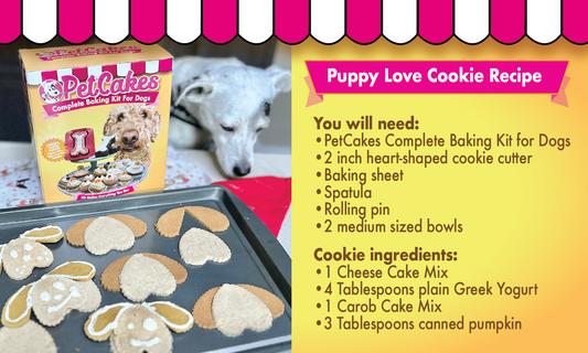 My Furry Valentine! + Puppy Love Cookie Recipe