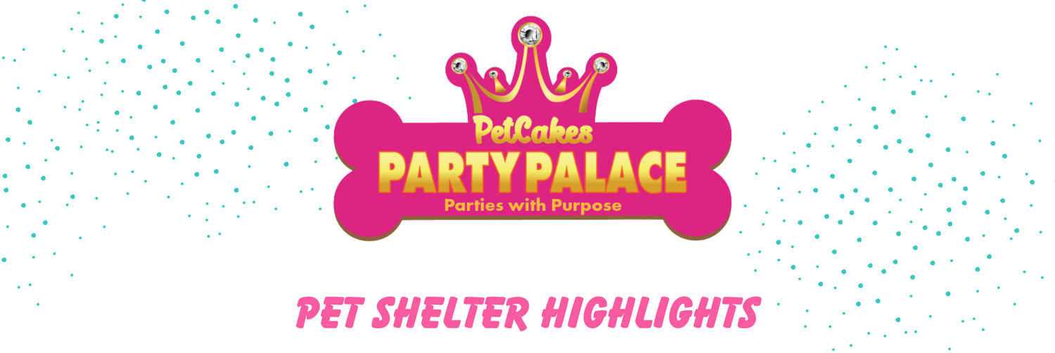 Logo of PetCakes Party Palace with a crown on a white background